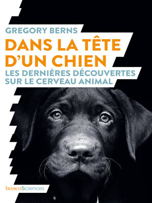 cover image of Dans la tête d'un chien. Les dernières découvertes sur le cerveau animal